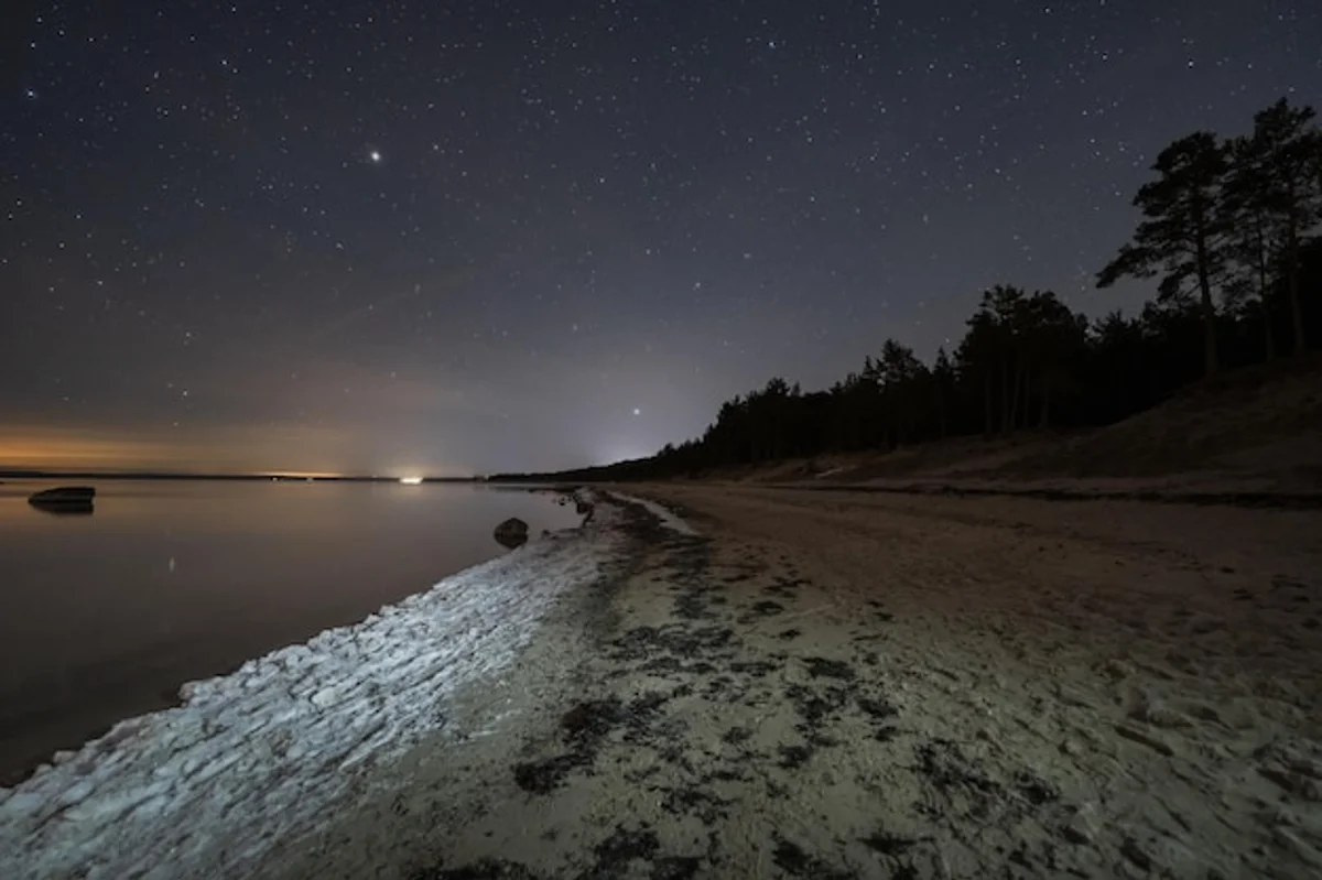 clear night sky stars over european landscape