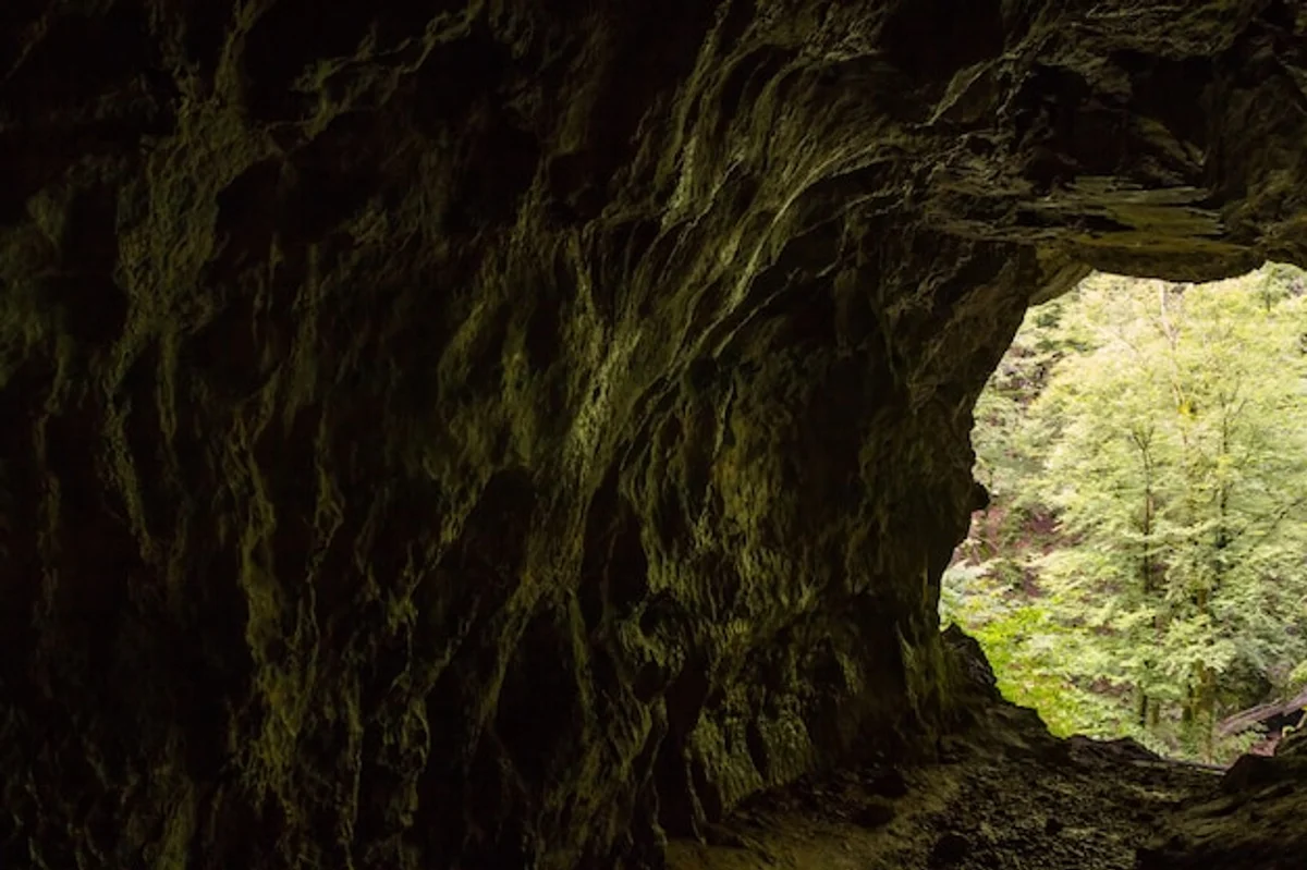 european bat waking up spring cave closeup