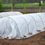 protecting garden plants from frost with fabric covers