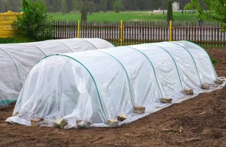 protecting garden plants from frost with fabric covers