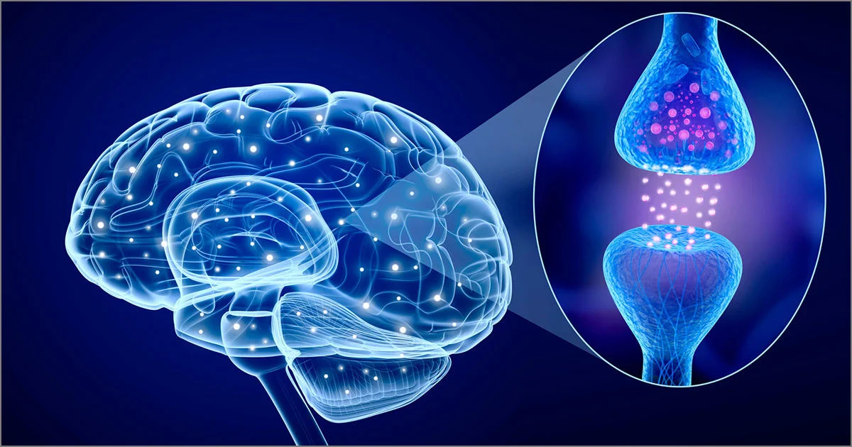 dopamine reward loop social media addiction