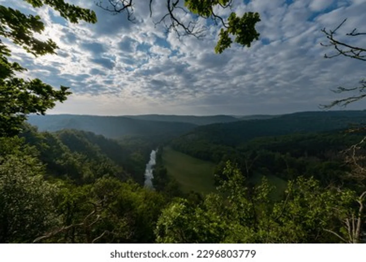 morning fog over Dyje river in Podyjí National Park Czechia