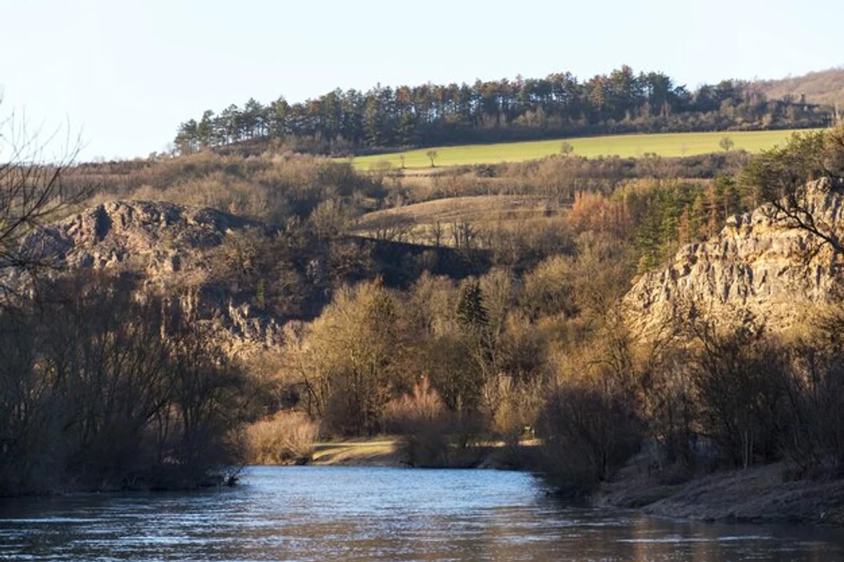 czech autumn landscape tranquil forest sunrise