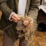 autumn organic soil care garden Czech