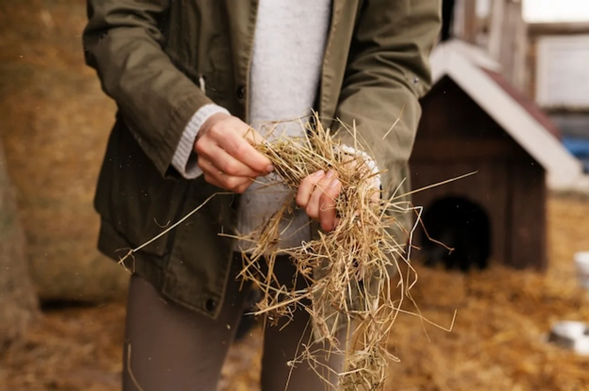 autumn organic soil care garden Czech