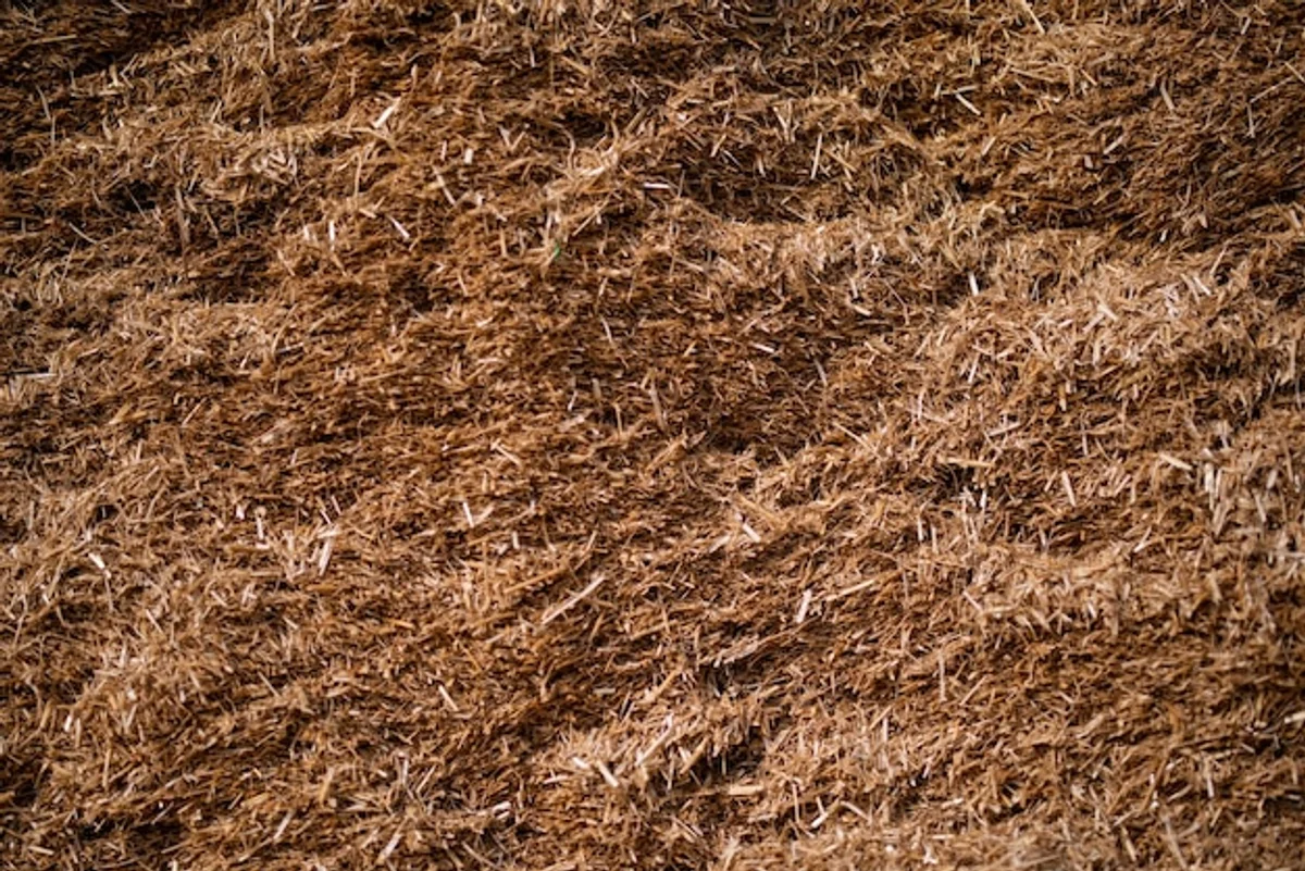 natural mulch autumn garden Czech republic