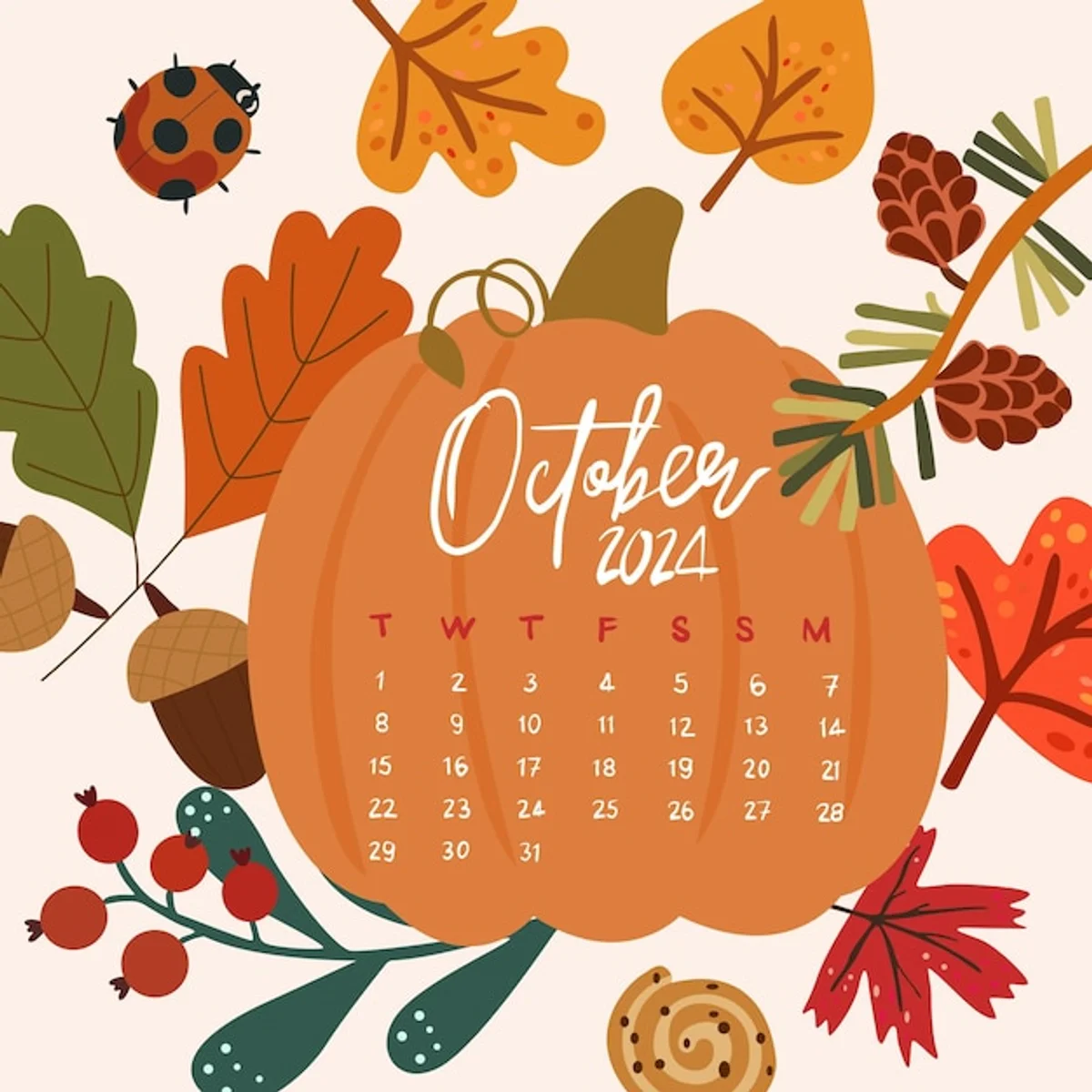 mobile privacy update autumn 2024