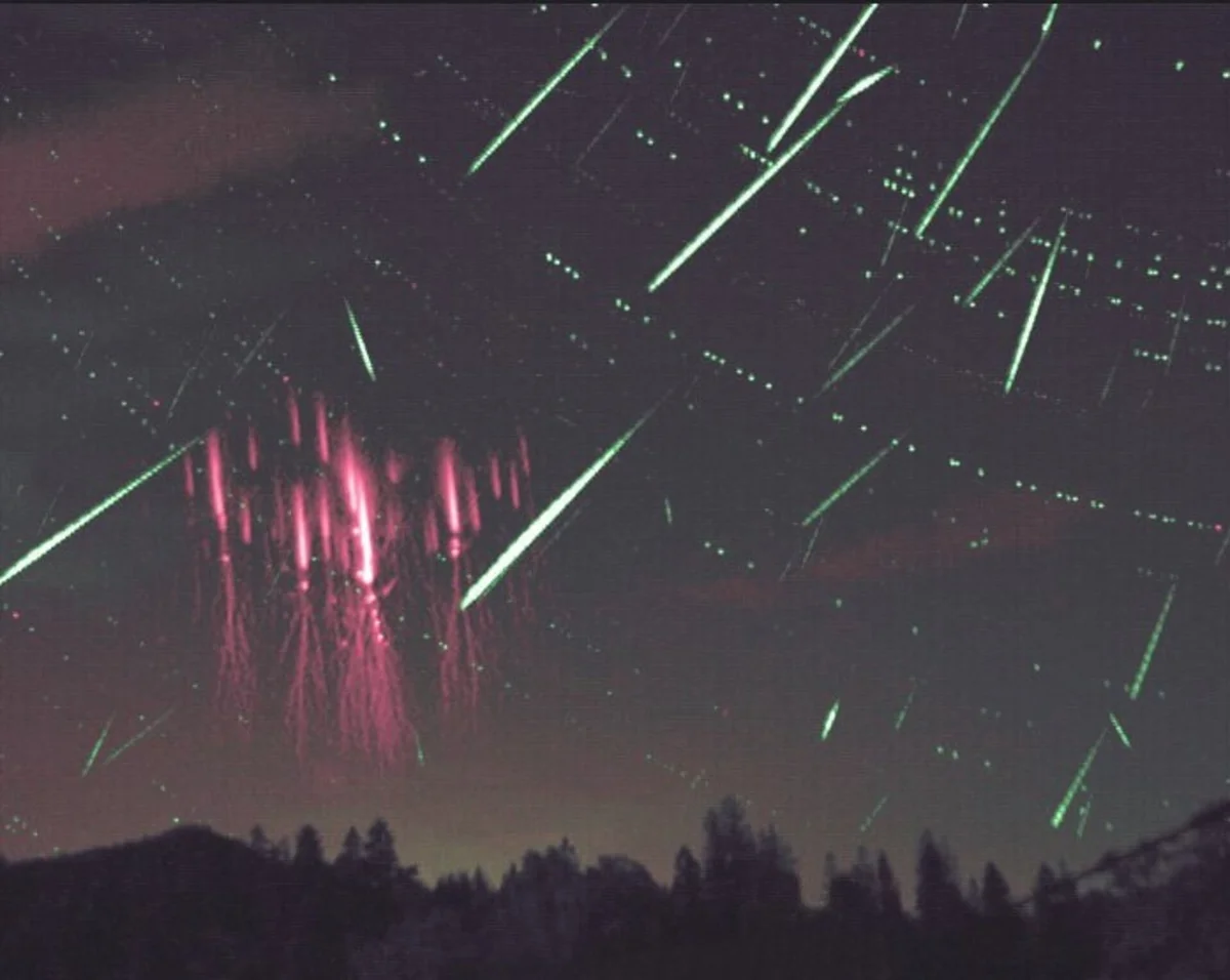 people stargazing meteor shower blanket dark field czech
