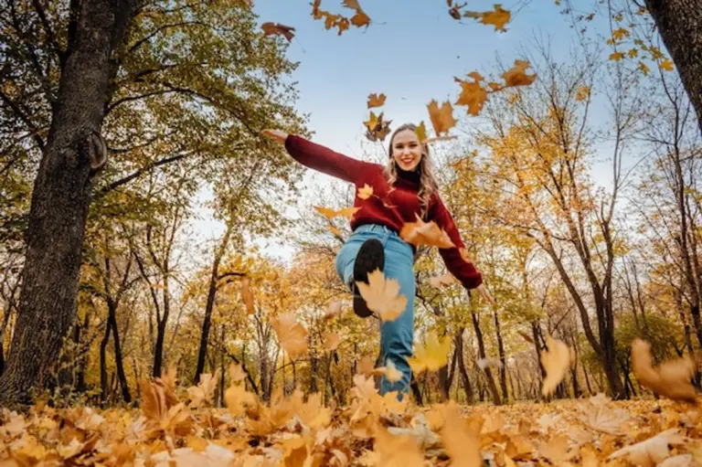 autumn sunlight mental health wellness