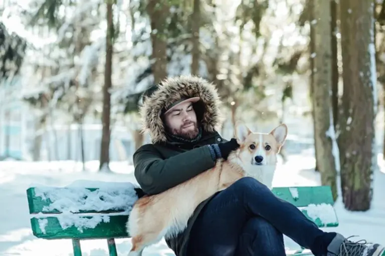 pet owners winter happiness