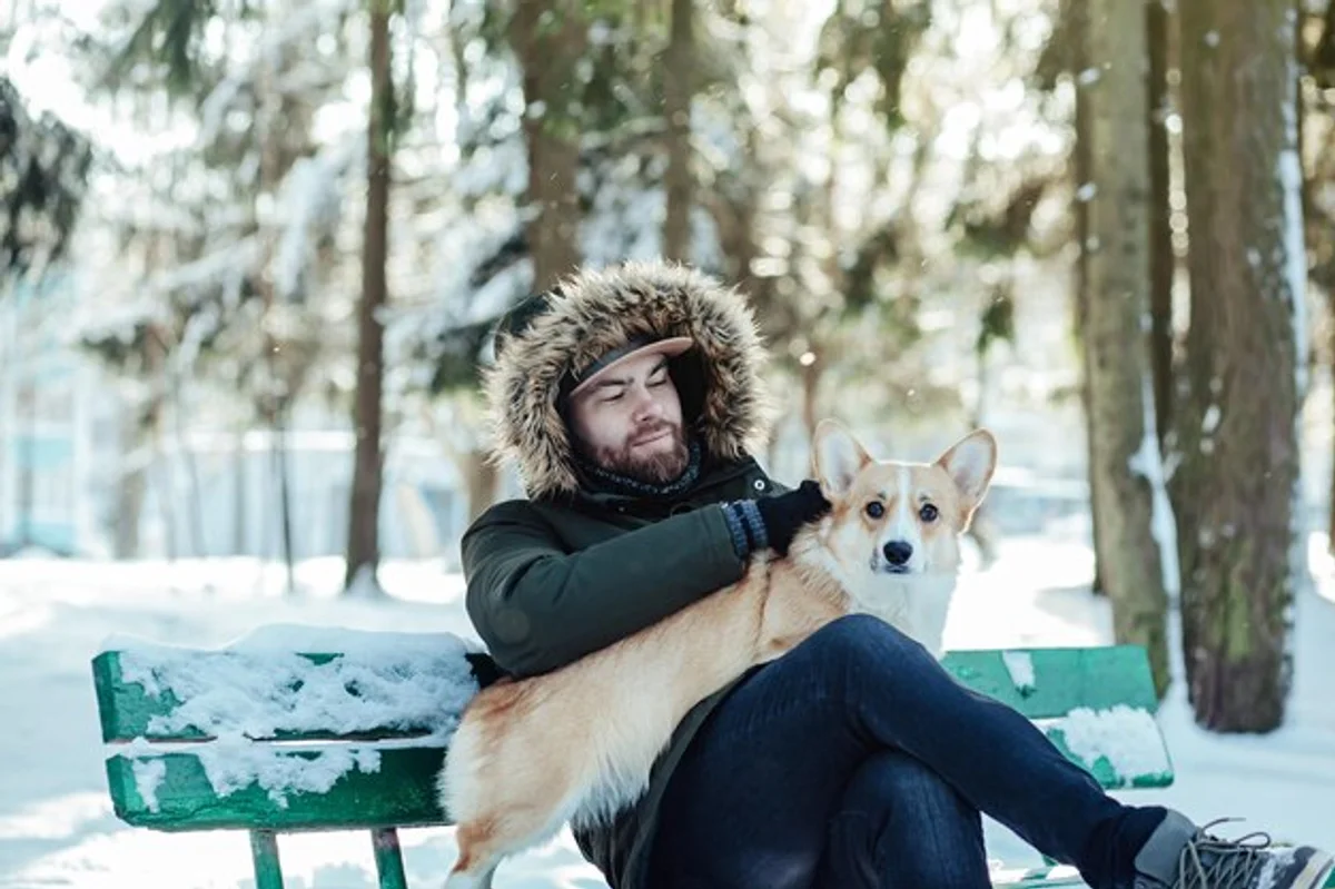 pet owners winter happiness