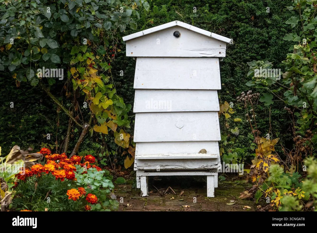 beehive preparation autumn czech garden