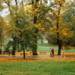 Czech autumn forest colorful walking people