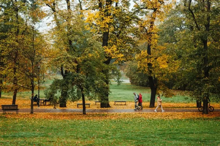 Czech autumn forest colorful walking people