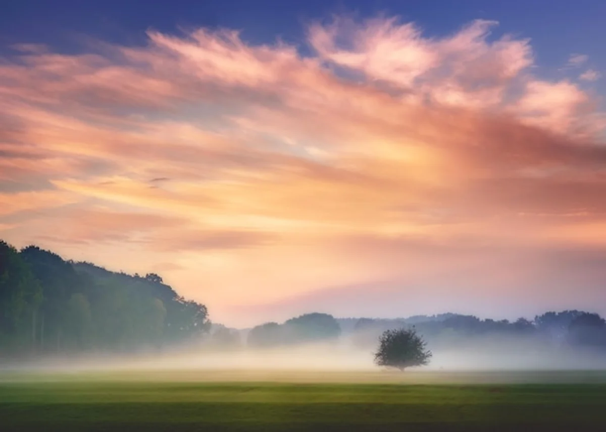 Czech Republic autumn fog forest view