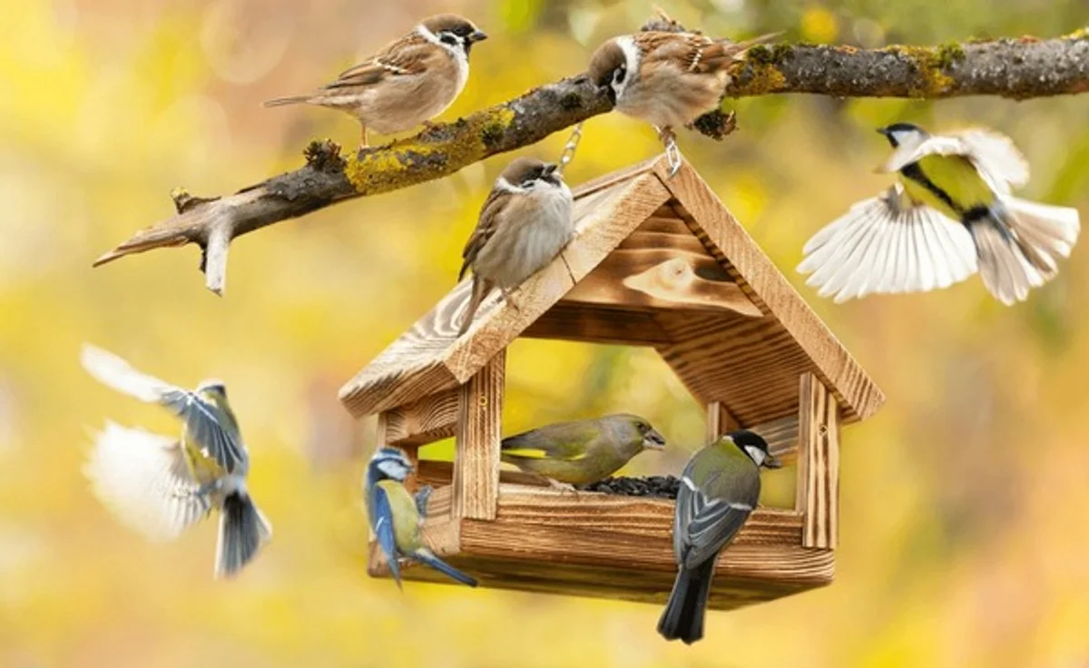 mixed flock of songbirds feeding together in cold autumn woods