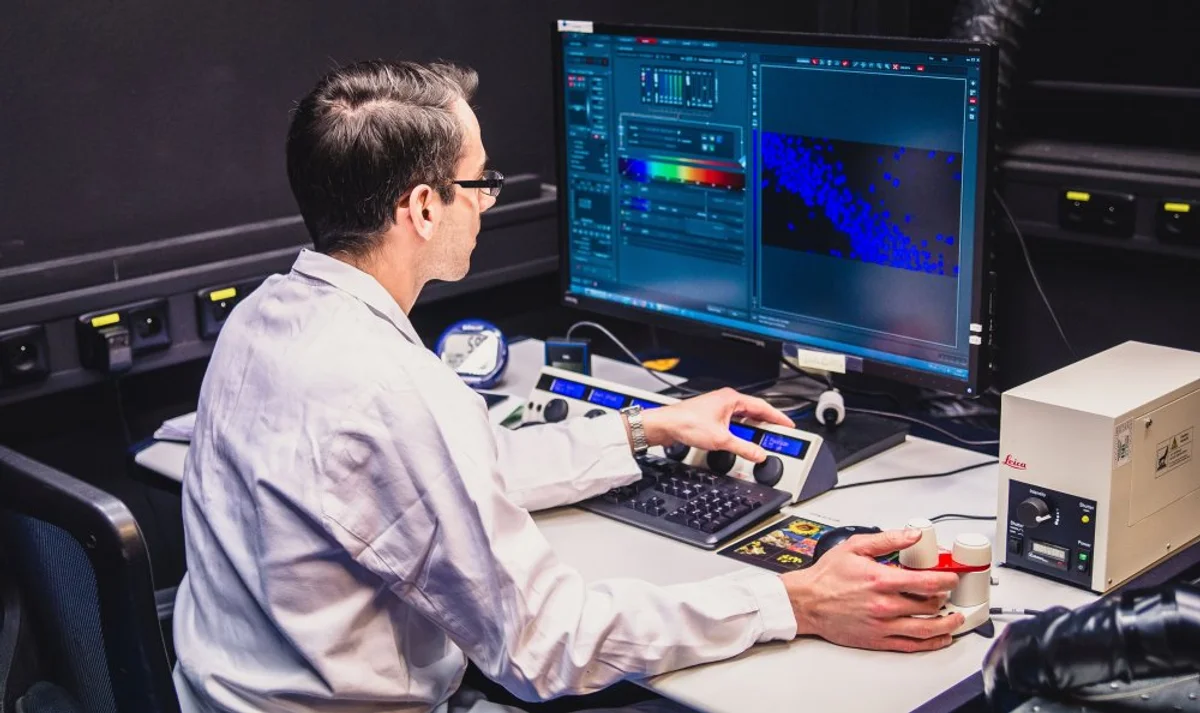czech neuroscience laboratory brain research