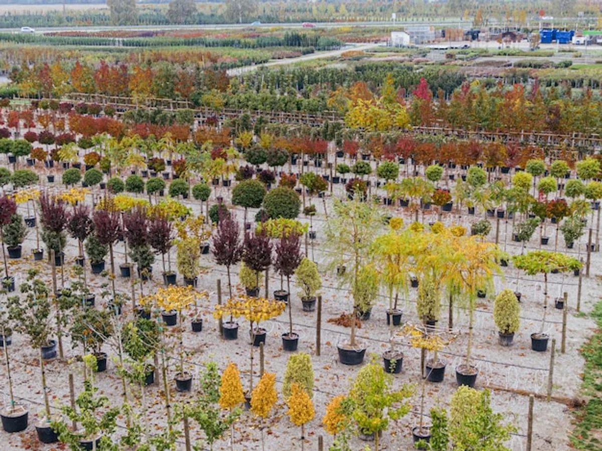 autumn herb planting Europe garden