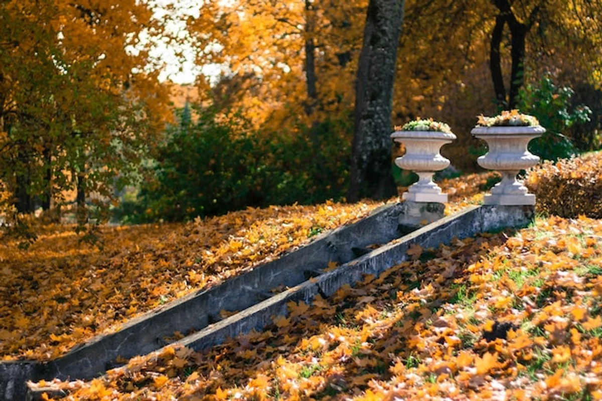 autumn herbs garden outdoor Europe