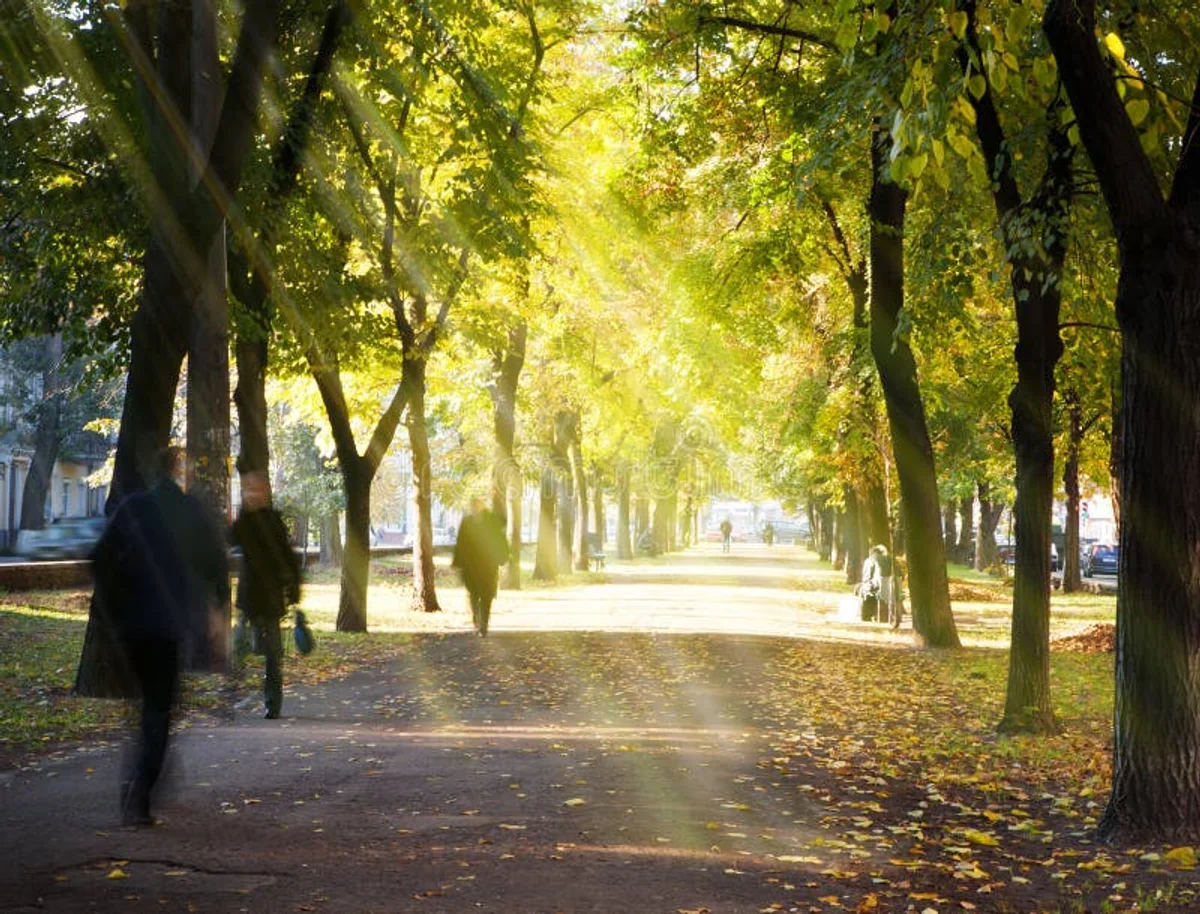 autumn sunlight mental health Czech city street