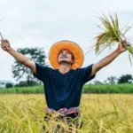 asian harvest festival traditions rice field farmers