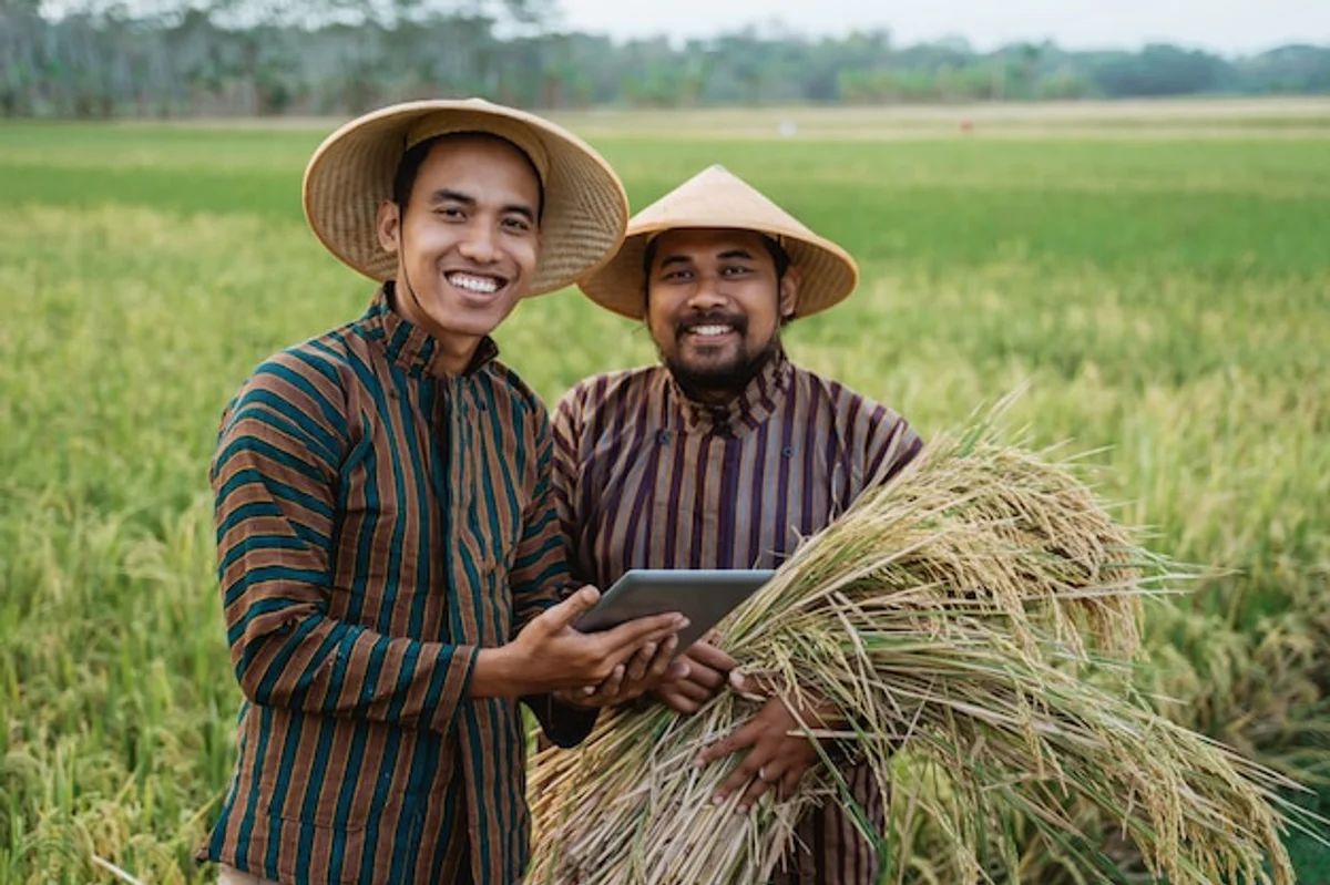 asian rice harvest festival traditional farmers