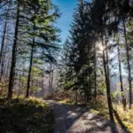 autumn quiet hiking Czech nature