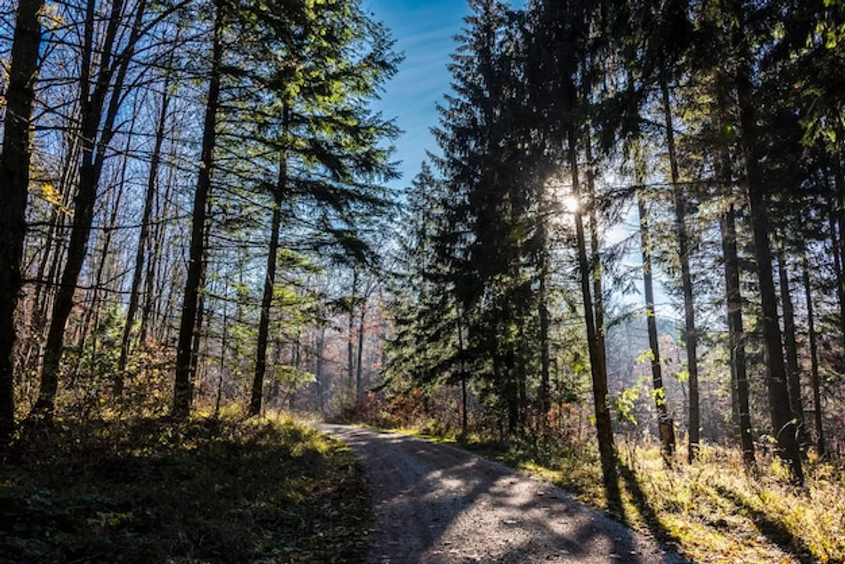 autumn quiet hiking Czech nature