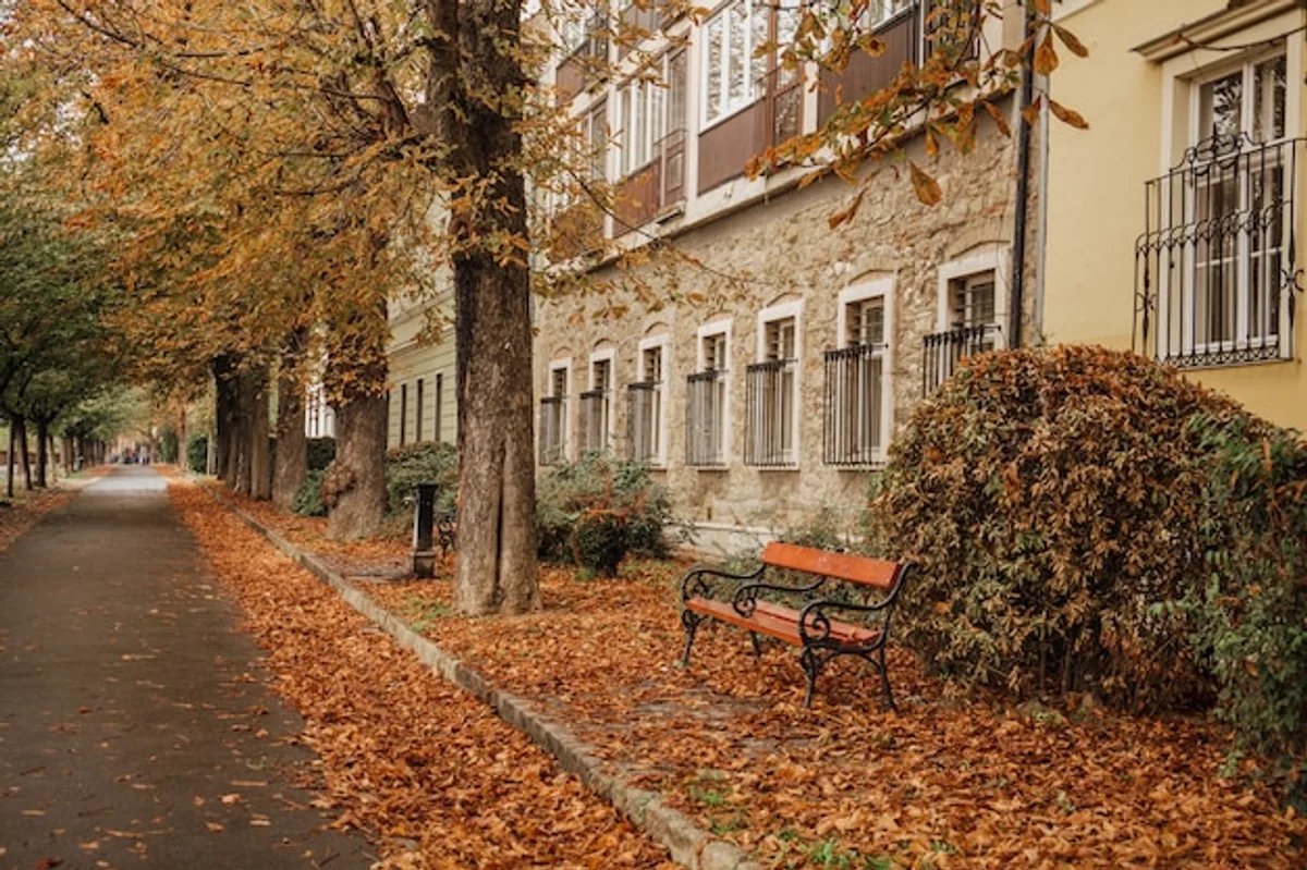 empty european streets autumn