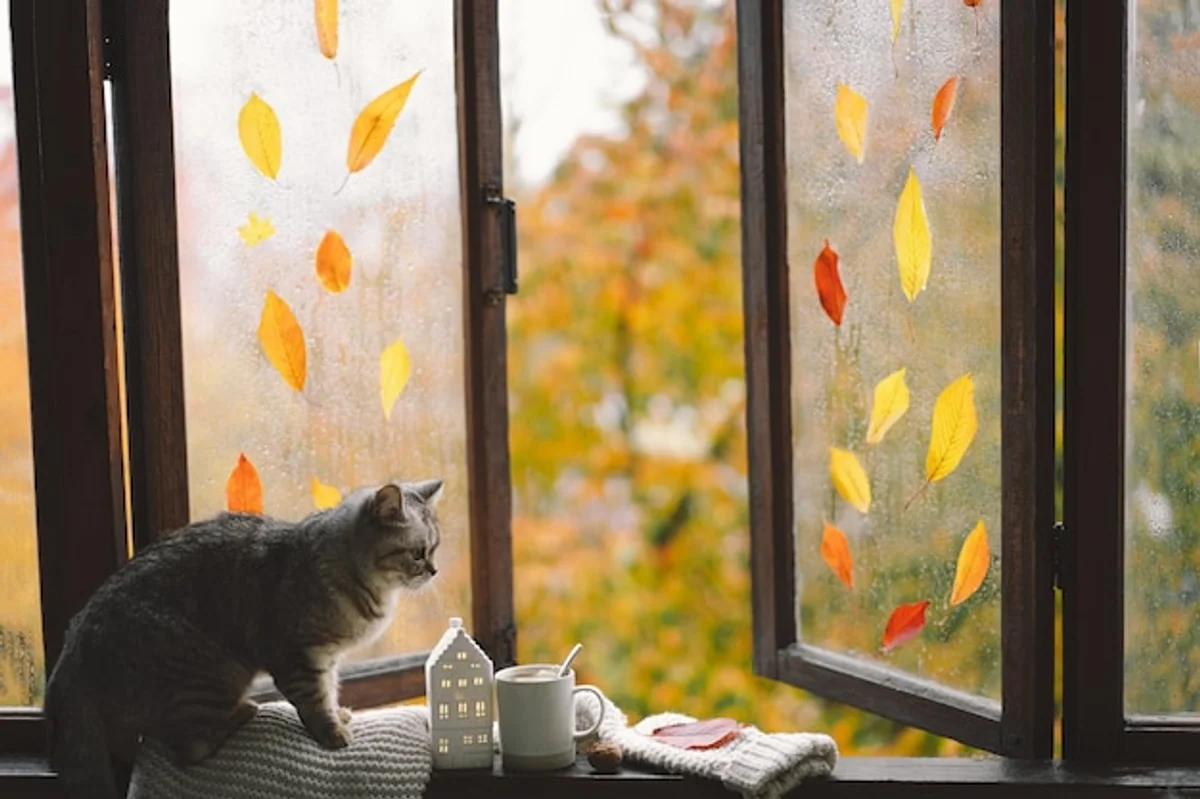 autumn forest wildlife mood therapy