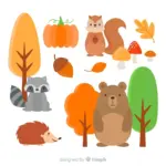 autumn forest safety in Czech Republic