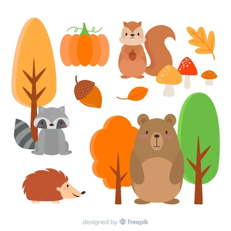 autumn forest safety in Czech Republic