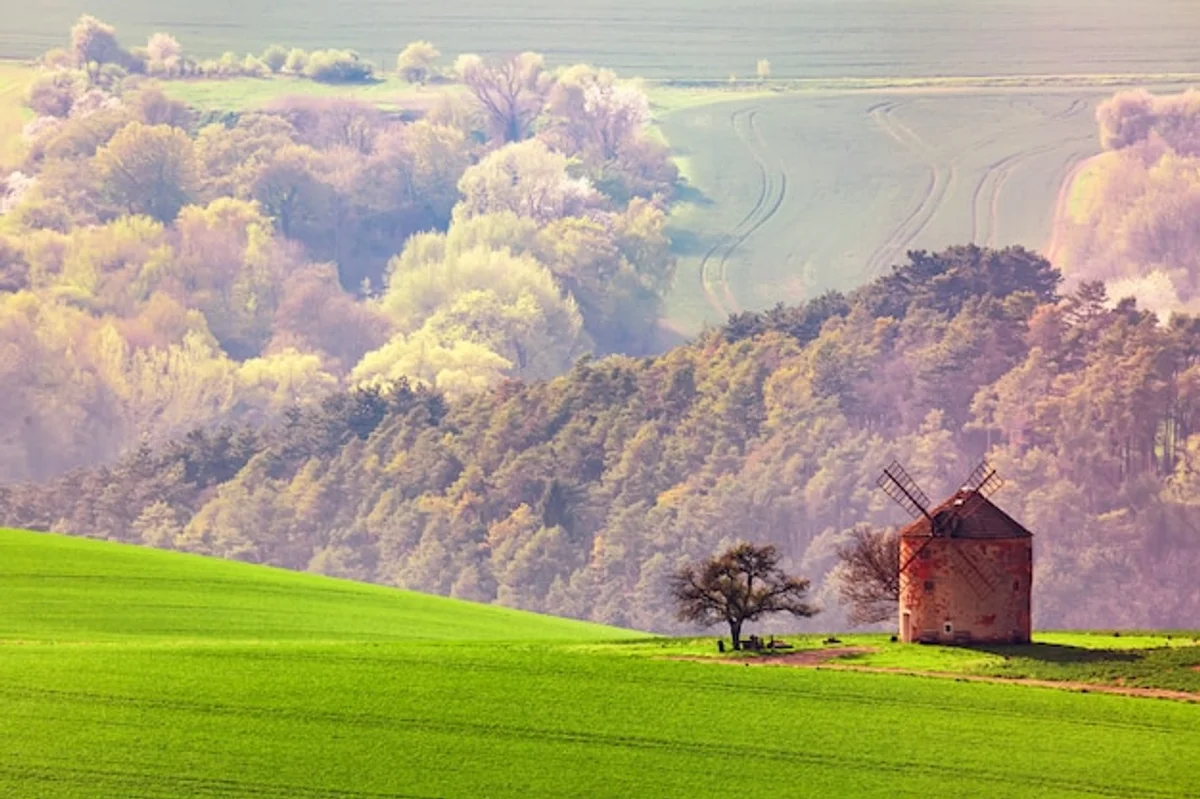 Czech autumn festival gathering family
