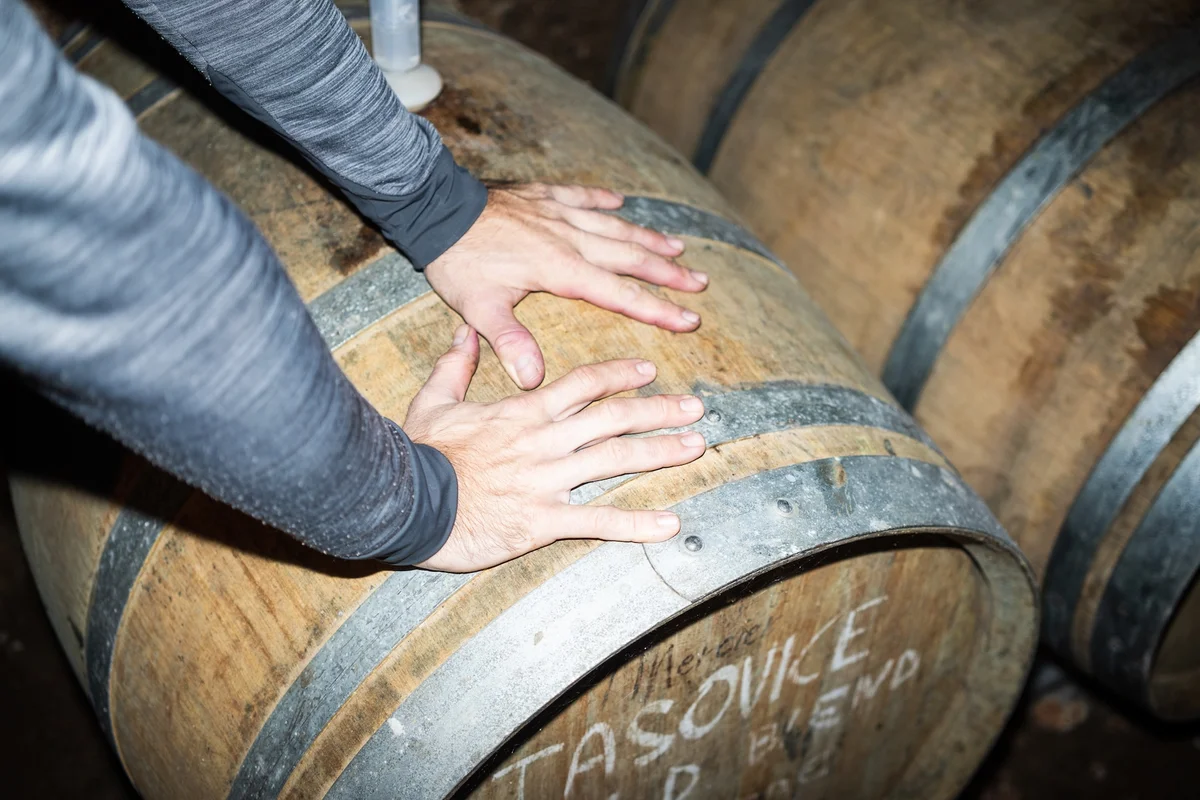 svatovavřinecké wine making at home