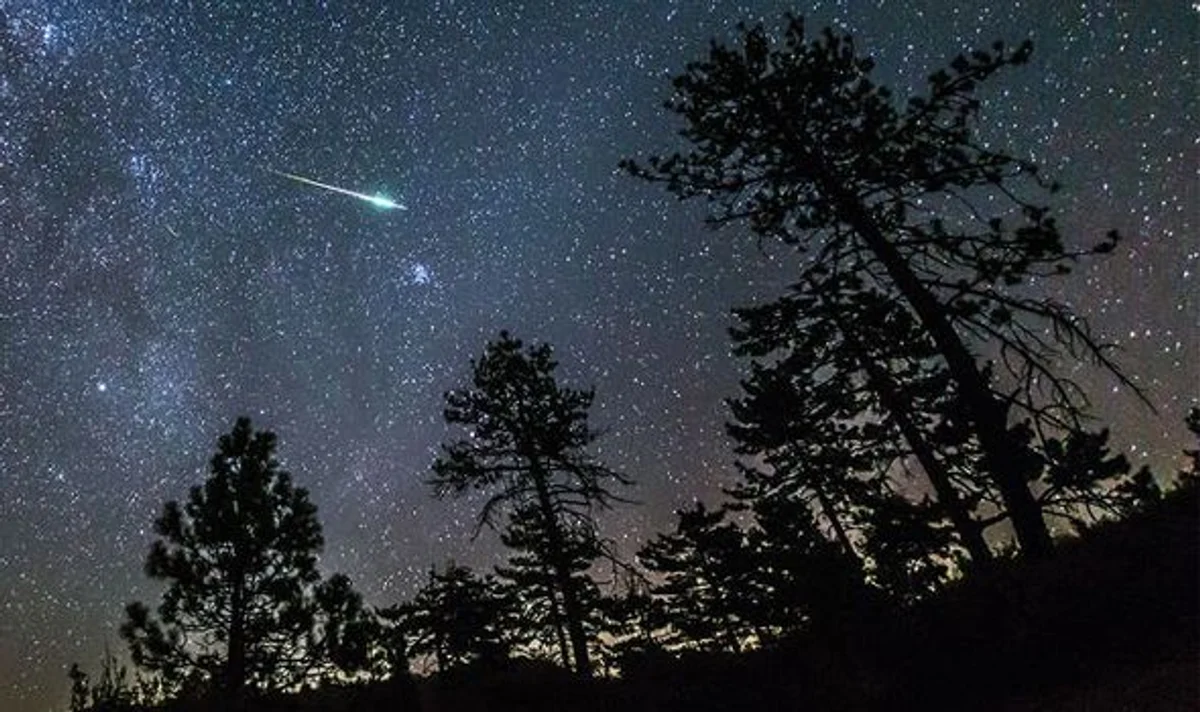 Leonid meteor shower over night forest Europe