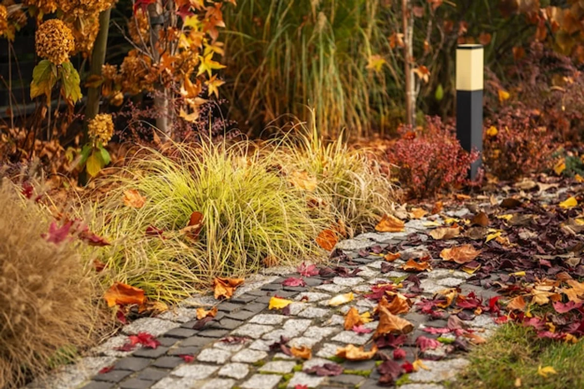 autumn leaves mulching garden
