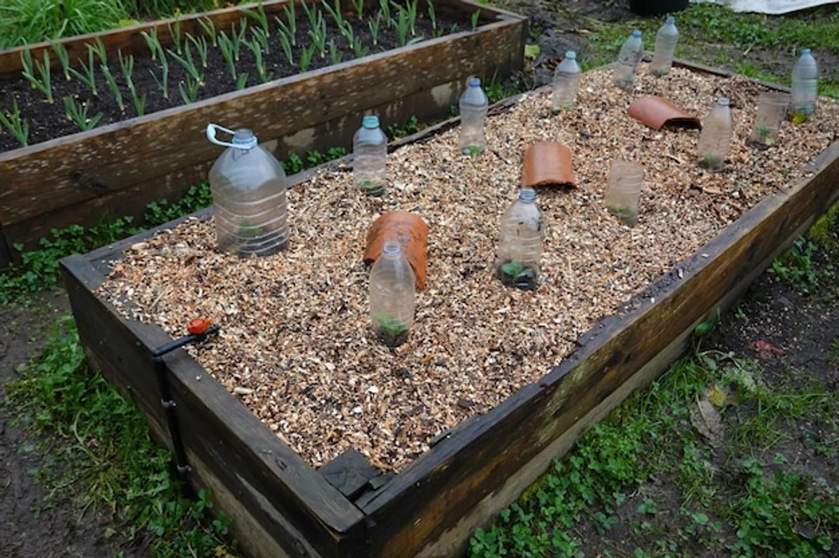 no dig garden winter preparation