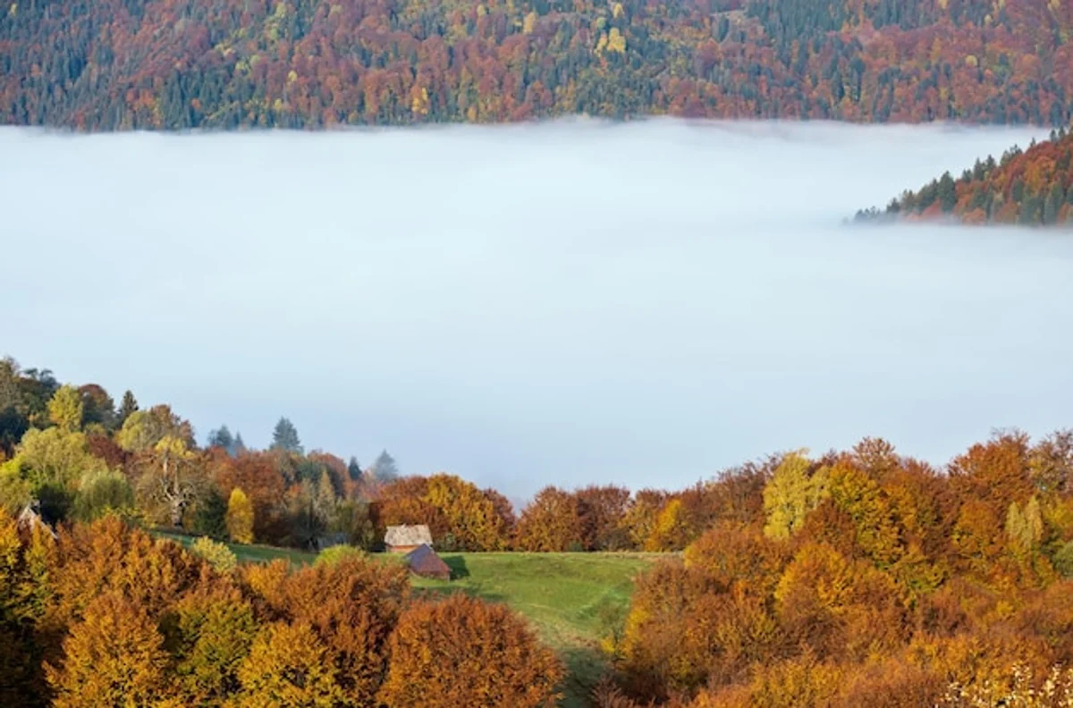 clear november night sky over Czech countryside