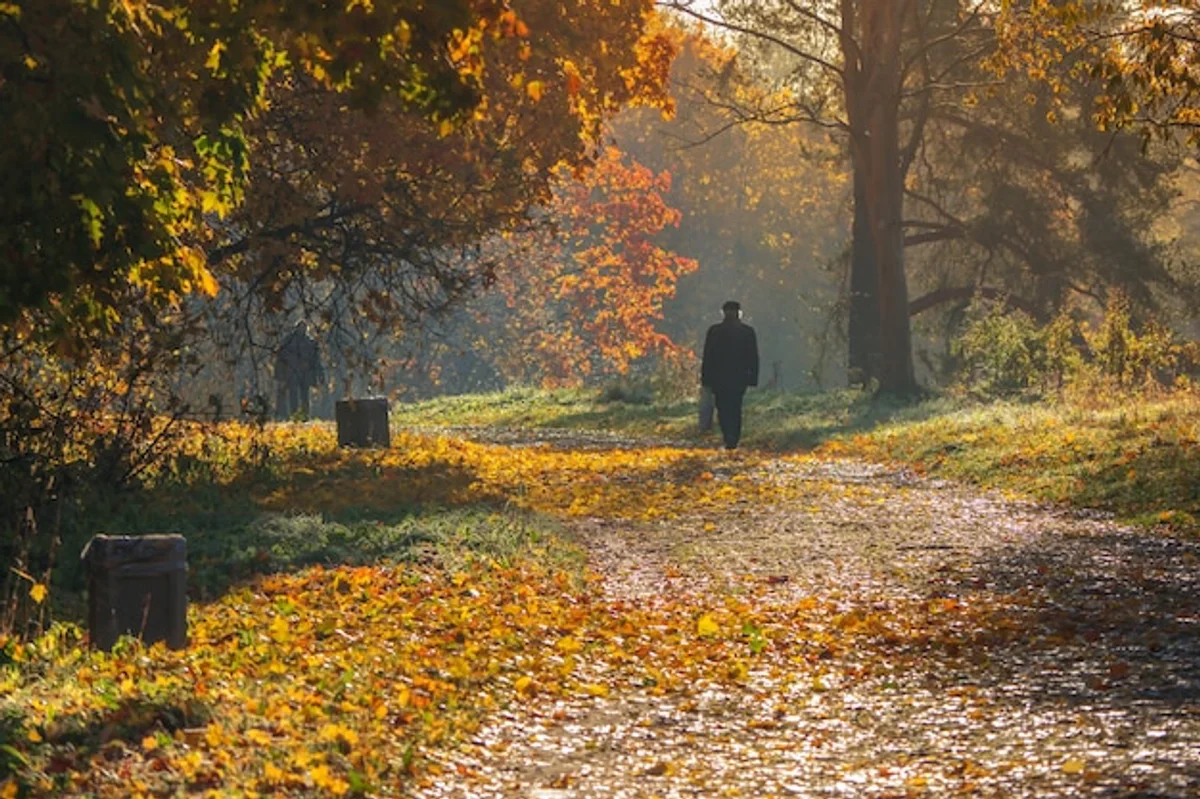 people autumn park morning light