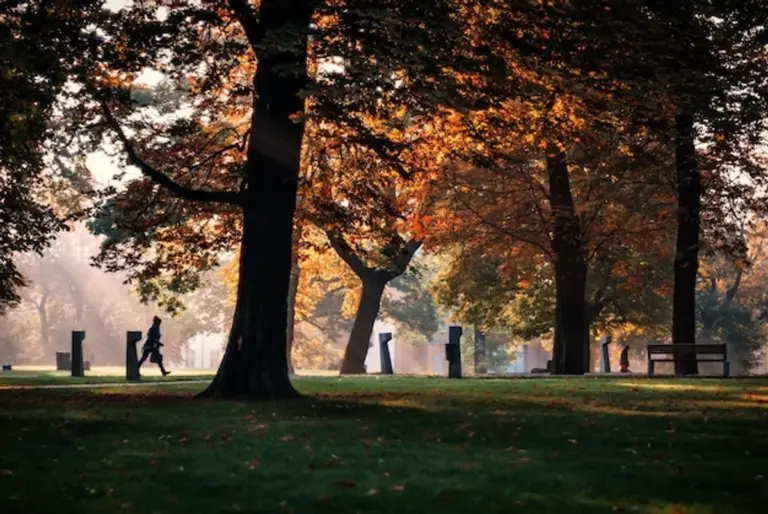 prague autumn festival lights crowd