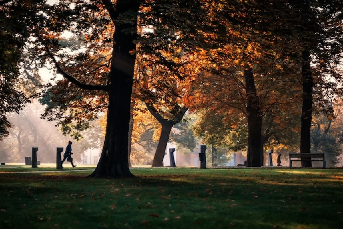 prague autumn festival lights crowd