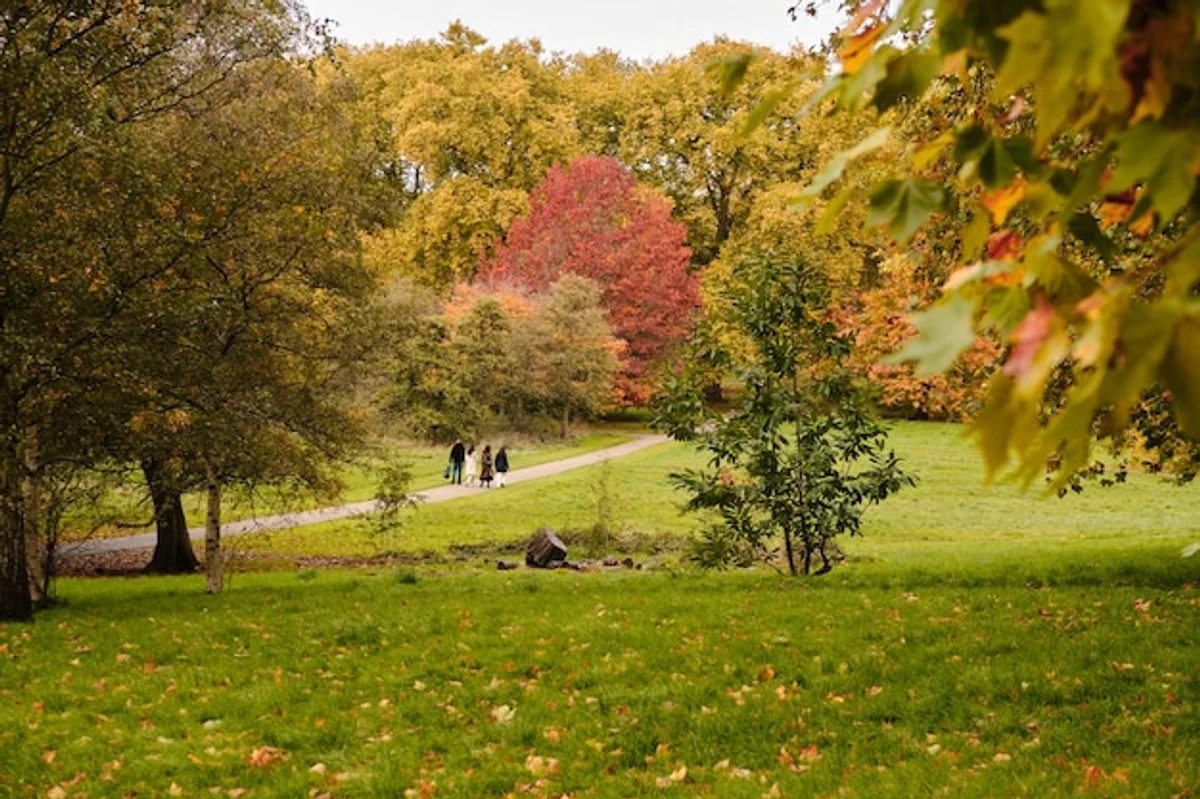 prague autumn festival lights crowd