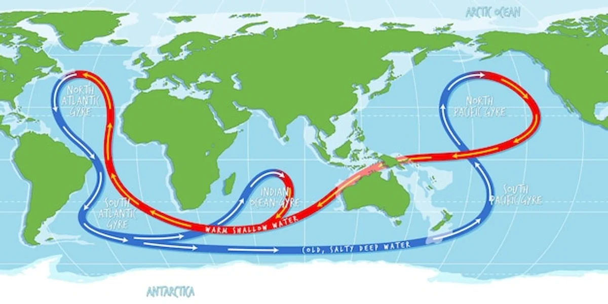 thermohaline circulation diagram ocean globe