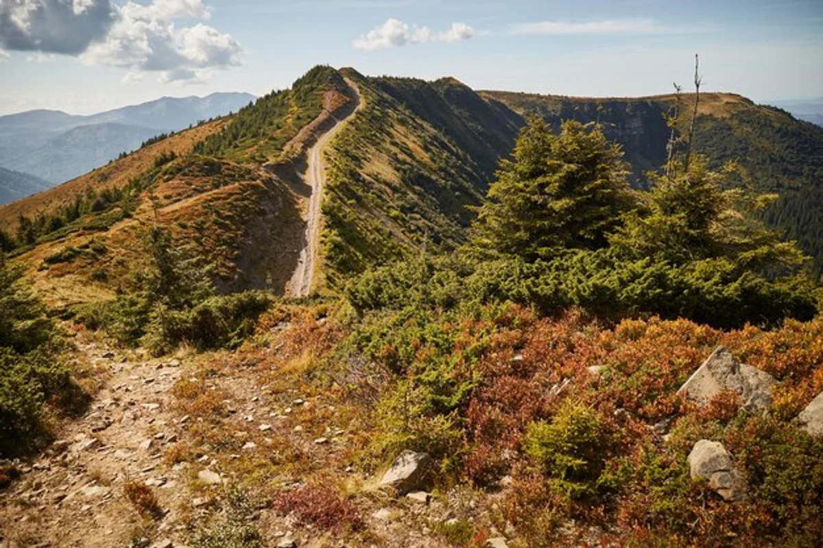 carpathian mountains autumn colors hiking path
