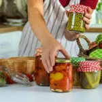 modern vegetable fermentation device home kitchen
