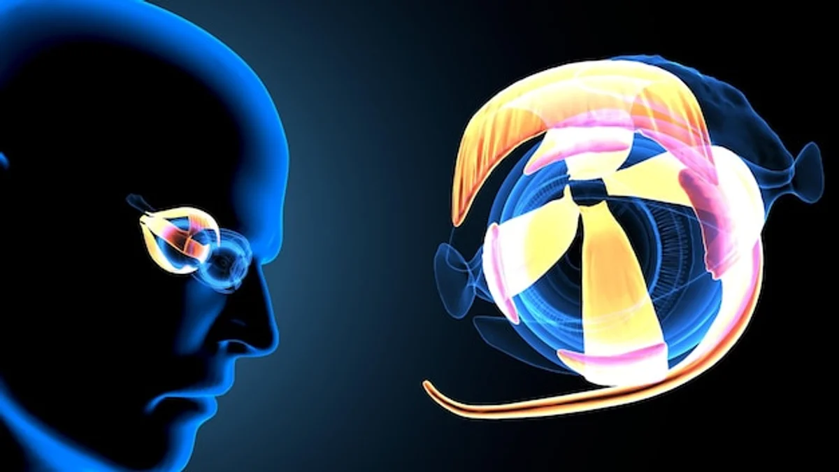 sport psychology motivation athlete focus