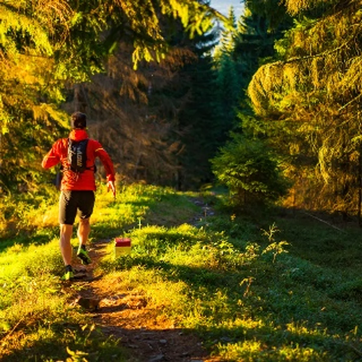 autumn running personal best motivation czech city