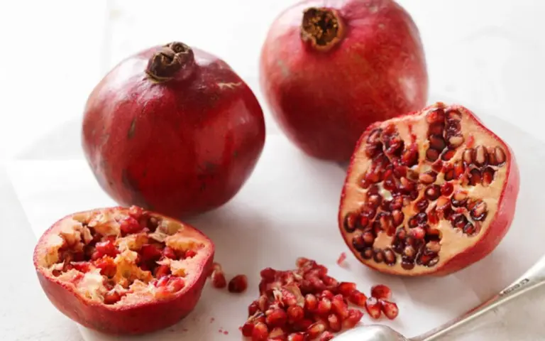 czech autumn fruit immunity boost