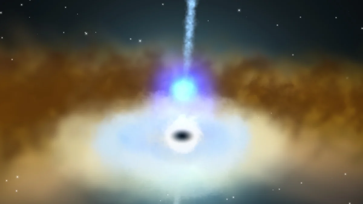 black hole x-ray echo nasa