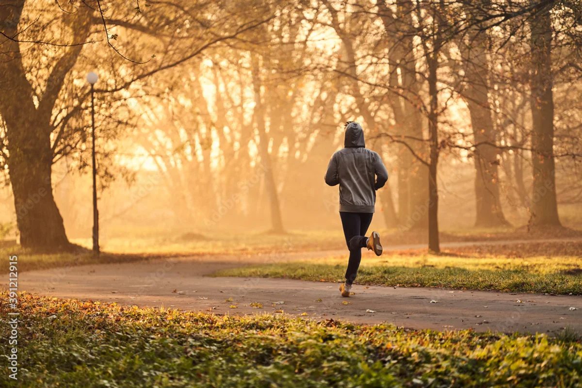 motivated czech runner autumn park cold fog